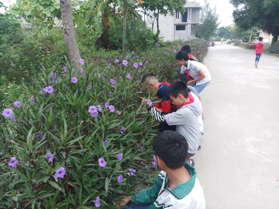 CHÚNG EM CHĂM SÓC CÔNG TRÌNH MĂNG NON