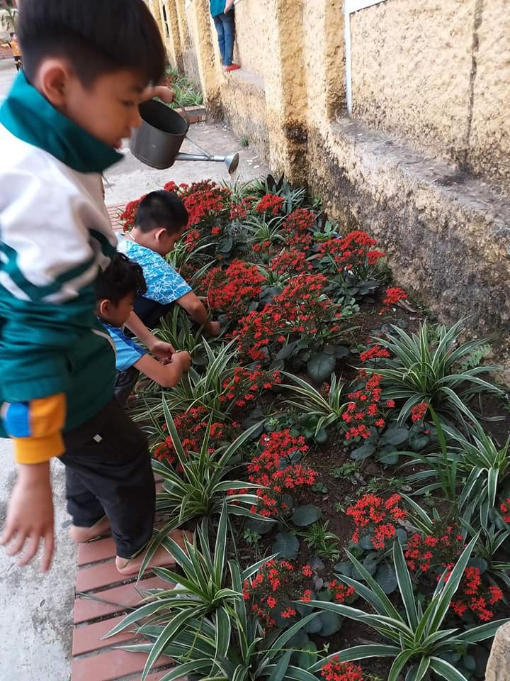 161203973 208711931035494 7215638364057822389 n