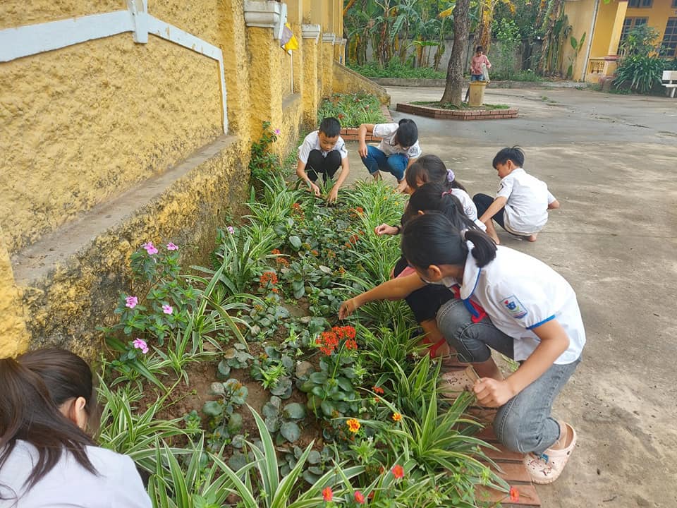 Hs chăm sóc công trình măng non